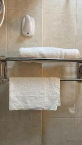 Ash Shishahفندق نزهة النسيم的浴室提供2个毛巾架和毛巾