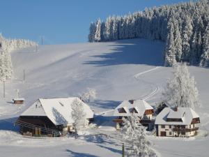 艾森巴哈Oberengenbachhof的雪覆盖的山中,有房子和树木