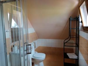 圣凯瑟琳Noclegi Gaja的一间带卫生间和玻璃淋浴间的浴室