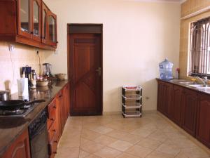 阿鲁沙Nareto House的厨房配有木制橱柜、门和水槽