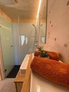 因特拉肯Unique Tiny Eco Lodges with gorgeous views to Jungfrau Massiv的一间带水槽和镜子的浴室