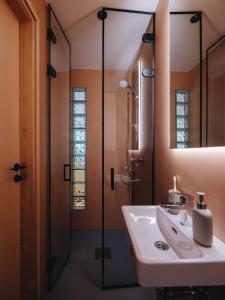 塔林Stereo House by Larsen的一间带水槽和淋浴的浴室