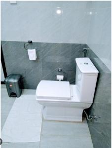 锡吉里亚AMRON RESORT SIGIRIYA的浴室设有白色卫生间和绿色墙壁。