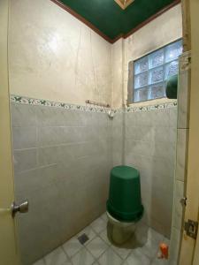 马比尼Perucho-Silang Guest House的浴室设有绿色厕所和绿色盖子
