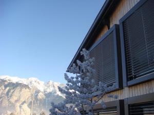 因斯布鲁克格森斯阿尔卑斯艺术酒店的山地建筑旁的雪覆盖树