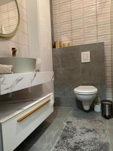 GrudeLea Lux Apartment的一间带卫生间、水槽和镜子的浴室
