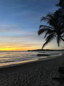 阿鲁甘湾FS Hotel & villa的海滩上的棕榈树与大海