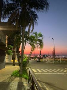 恩卡纳西翁Hotel Renty Beach的一条在路边种有棕榈树的街道