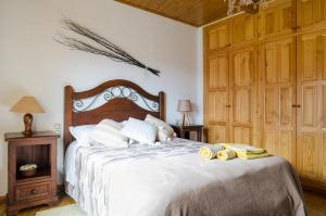 巴尔德利纳雷斯Casa Beatriz Valdelinares的一间卧室配有一张大床和木制床头板