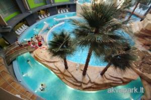 德鲁斯基宁凯Holiday Apartments with loggia in Druskininkai的享有棕榈树游泳池的顶部景致