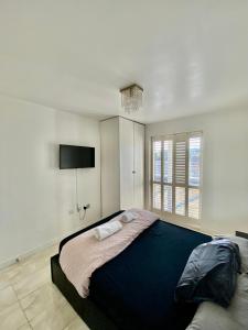 BelvedereCaptivating 1-Bed Apartment Greater London的一间带大床和电视的卧室