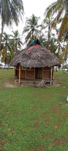 AchoertupoCabaña frente al mar islas de San Blas icodub的棕榈树草屋顶小屋