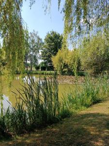 FeingsComme à la maison prés des châteaux de la Loire的公园里有一个池塘,还有一些草地和树木