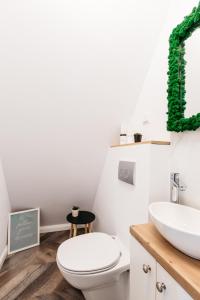 里梅泰亚KARL's Cabin by Black & White Panoramic的一间带卫生间和水槽的浴室