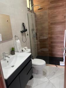 塔拉法尔Residencial Santo Amaro的一间带水槽、卫生间和淋浴的浴室