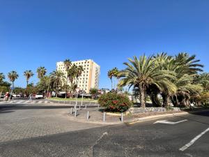 美洲海滩Las Piteras的一条棕榈树和建筑的空街