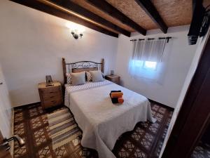 格拉纳迪利亚德亚沃纳Casa Luis Pico的一间卧室设有一张大床和一个窗户。