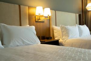 Holiday Inn Navojoa, an IHG Hotel客房内的一张或多张床位