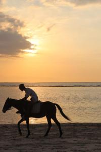 吉利特拉旺安BALE DATU BUNGALLOW的日落时在海滩上骑马的人