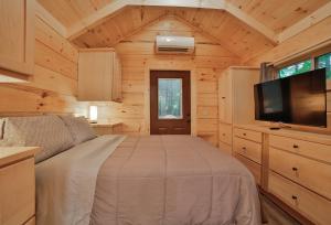 查塔努加Stefan Cabin Nature-nested Tiny Home Hot Tub的小木屋内的卧室配有1张床和电视