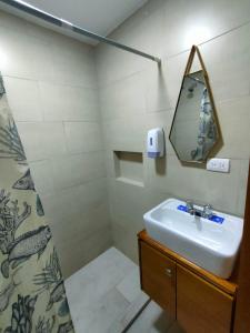 昆卡Elegante Suite ecualodge2的一间带水槽和镜子的浴室