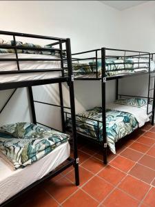 墨尔本St Kilda Accommodation的两张双层床位于一间地面层的房间里