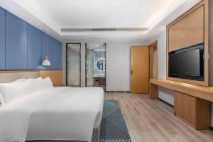 黄石黄石磁湖智选假日酒店的配有一张床和一台平面电视的酒店客房