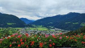 维皮泰诺Pension Alpenblick的享有种满鲜花和山脉的山谷美景。