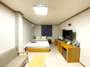 忠州市Suanbo Hot Spring Healing Hotel的一间酒店客房,配有一张床和一台电视
