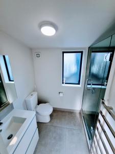 瓦纳卡Cottage on Matai的浴室配有卫生间、盥洗盆和淋浴。