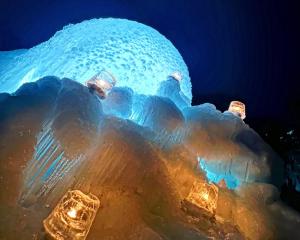 Eniwaキャンパーズエリア恵庭 TCS Village的夜间有灯光的冰层结构