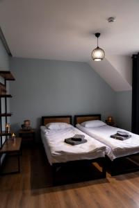 皮利佩齐AINO Hotel的天花板客房内的两张单人床