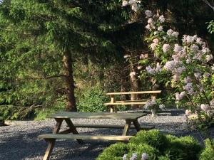 温特贝格诺尔德航维拉公寓的木凳,坐在灌木丛旁,花丛中
