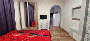 克洛佩夫尼茨基Yanovskogo 1k Shin的一间卧室配有一张床、一台电视和一面镜子