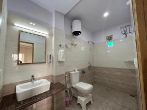 阿格拉马克斯酒店的一间带卫生间、水槽和镜子的浴室