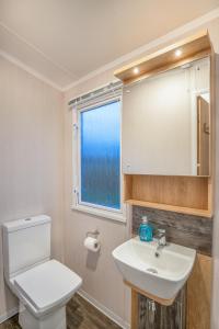 塞顿港Luxury 8 Berth-Wheelchair Access的一间带卫生间、水槽和窗户的浴室