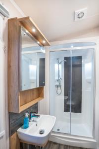 塞顿港Luxury 8 Berth-Wheelchair Access的一间带水槽和淋浴的浴室