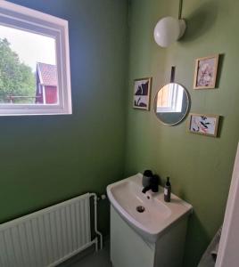 LillhärdalFerienhaus am Waldrand的绿色浴室设有水槽和镜子