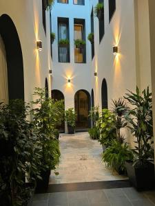 塞维利亚Posada de los Venerables的建筑中种有盆栽植物的庭院