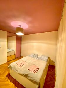 克拉科夫Cheap entire apartment in a super location的一间卧室配有一张粉红色天花板的床