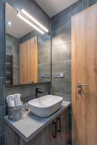 杜瑙森特米克洛什Duna Lodge - Luxury Apartment的浴室设有白色水槽和镜子