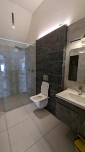 马迪凯里kollanoor guest house的一间带卫生间和水槽的浴室