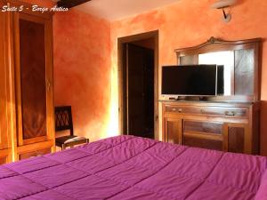 内米阿尔伯格戴安娜旅馆的一间卧室配有一张紫色的床和一台电视机