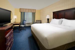 圣安东尼奥Holiday Inn Express & Suites San Antonio West Sea World Area, an IHG Hotel的一间酒店客房,配有一张大床和一台平面电视