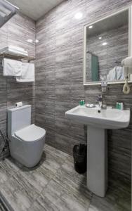 巴库Best Center Boutique Hotel的一间带水槽、卫生间和镜子的浴室