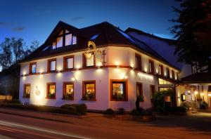 莱茵河畔凯尔Hotel Schwanen的一座白色的大建筑,晚上有灯