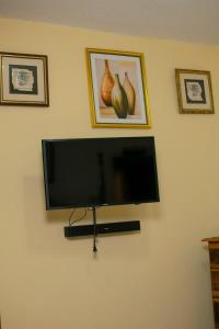 Buff BayWindbreak Villa的挂在墙上的带花瓶的平面电视