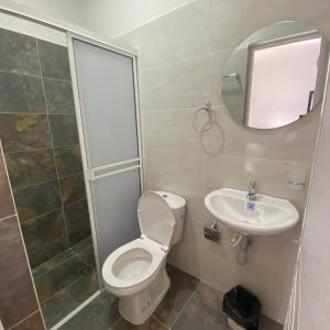 阿瓜奇卡HOTEL LUZ MERY的一间带卫生间、水槽和镜子的浴室