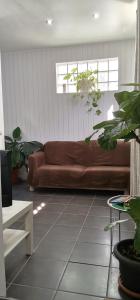 丰沙尔Tiny House Funchal的客厅配有棕色沙发和一些植物