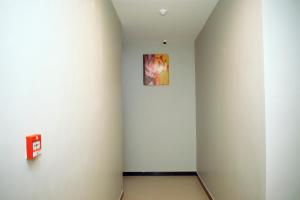 多多马Inoga Luxury Hotel的墙上挂有画的走廊